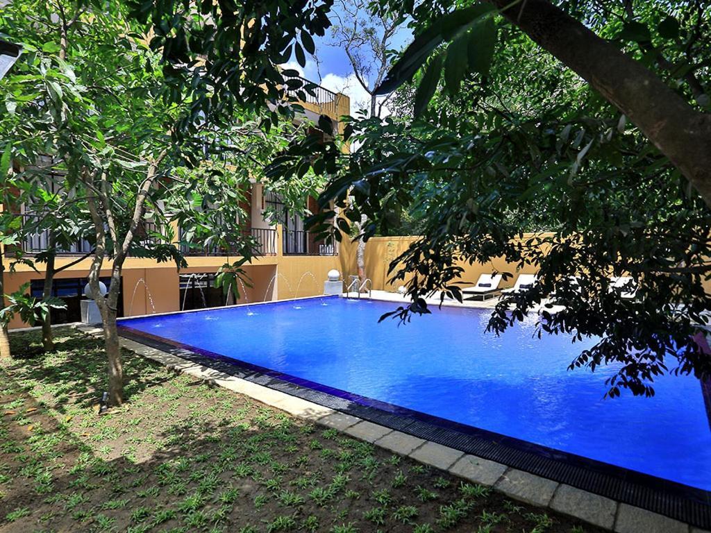 Lily'S Resort Habarana Bagian luar foto